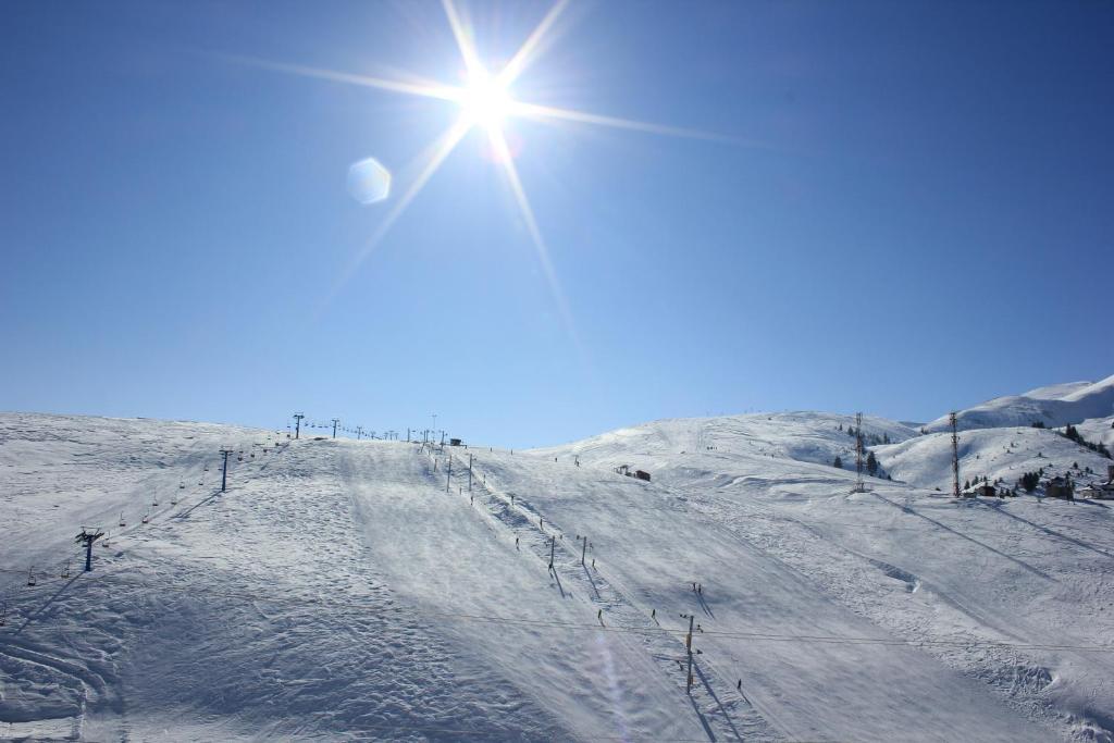 Snow Patrol Lodge Kalkandelen Dış mekan fotoğraf