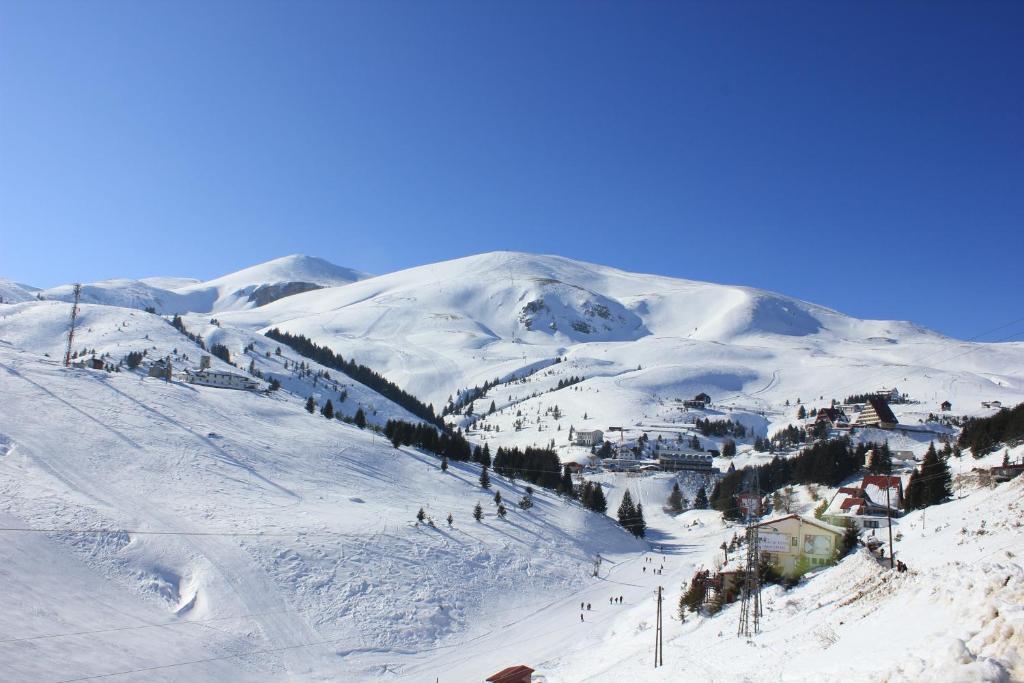 Snow Patrol Lodge Kalkandelen Dış mekan fotoğraf