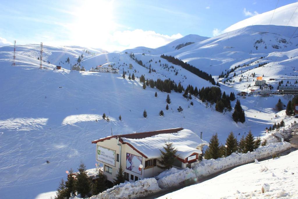 Snow Patrol Lodge Kalkandelen Dış mekan fotoğraf